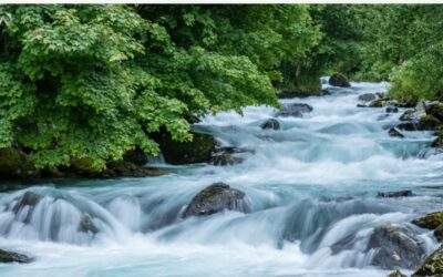 Streamlining Operations: Key Strategies for Operations Executives in Large Organizations